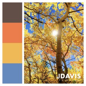 JDavis Painting Autumn Paint Colours Palette 2